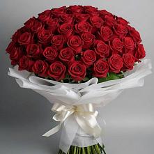 Букет 101 Красная роза Блэк Мэджик #REPLACE_PRED# Шаранге