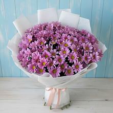 Букет цветов из:  Хризантемы #REPLACE_PRED# Шаранге