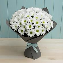 Букет цветов из:  Хризантемы #REPLACE_PRED# Шаранге