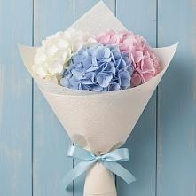 Букет цветов из:  Гортензия в Шаранге