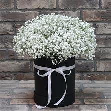 Цветочная композиция из Гипсофила в шляпной коробке #REPLACE_PRED# Шаранге