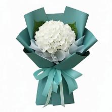 Букет цветов из:  Гортензия в Шаранге